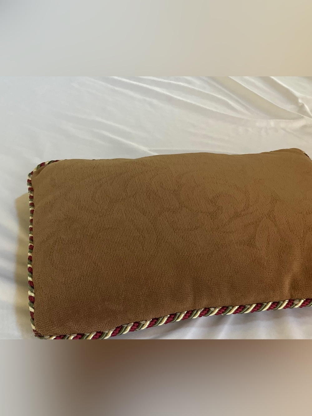 Set of Custom Throw Pillows with Braided Trim